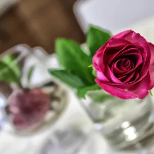  Bed & Breakfast Aleksandr Italia